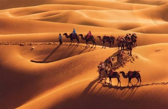 con-duong-to-lua-tan-cuong-huyen-thoai