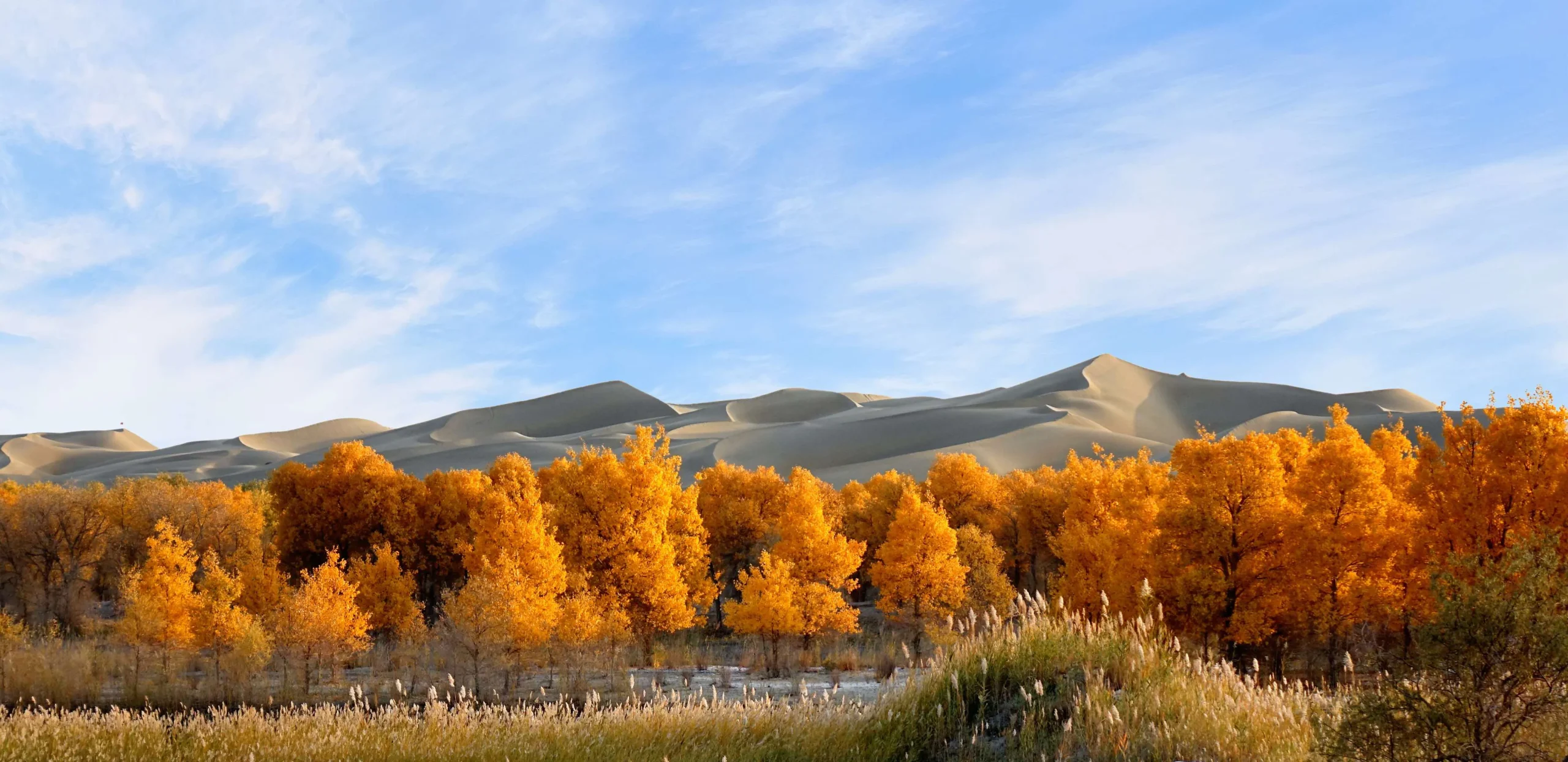 Cảnh sắc mùa thu Tân Cương