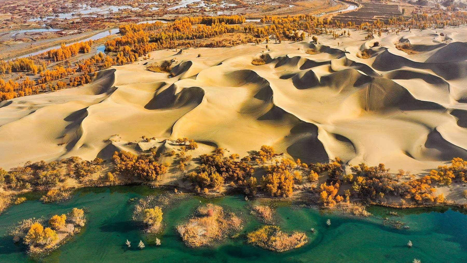 sa-mac-Taklamakan-canh-quan-thien-nhien-tan-cuong