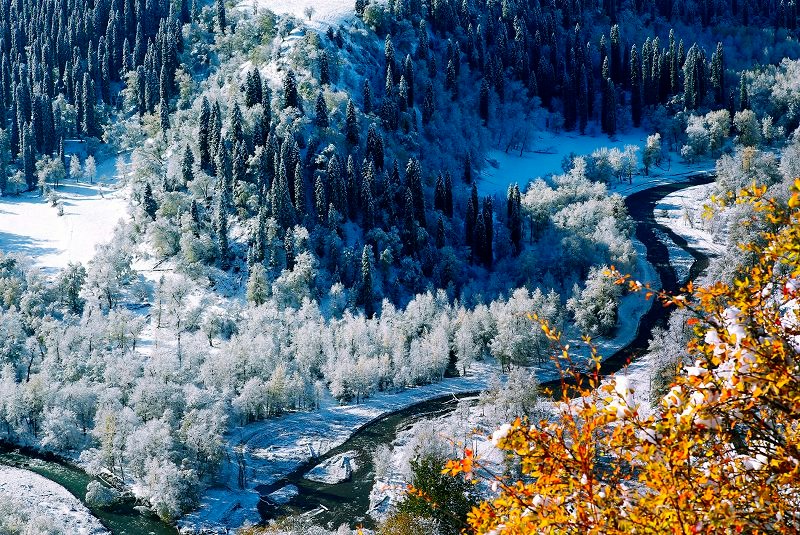 van-hoa-tan-cuong-da-sac-toc