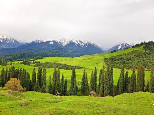 kinh-nghiem-du-lich-tan-cuong