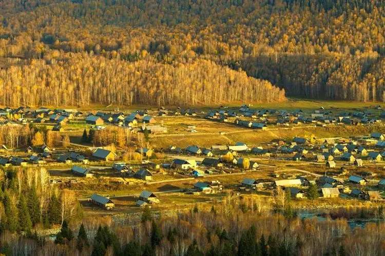 canh-sac-mua-thu-tan-cuong